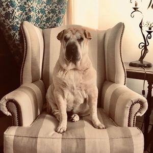 Meet your Posher, Christina